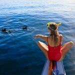 Guest watching dolphins swimming alongside a boat in the clear waters of Port Stephens, New South Wales.