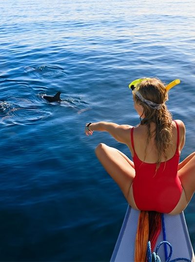 Guest watching dolphins swimming alongside a boat in the clear waters of Port Stephens, New South Wales.
